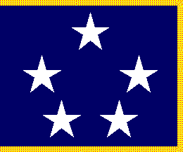 [U.S. Navy Fleet Admiral Fringed flag]